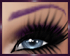 *Lb* EyeBrow Purple