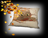 llKNZ*Autumn pillow 120%