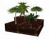 Tropical Planter Trees