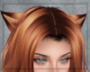 Orange Wolf Ears