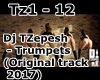 Dj TZepesh - Trumpets