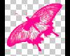 Butterfly Pink $NEL$