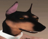 Heads Dog