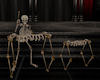 'Skeleton Dulcimer