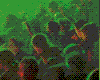animated rave