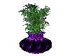 Elegant purple vase