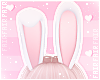 F. Bunny Ears White