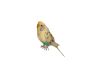 Parakeet 2 Animated