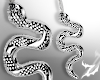 𝓩 Silver Snakes