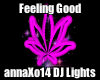 DJ Light Feeling Good