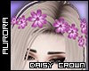 A| Daisy Crown - Candy