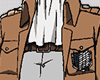 Z Levi Tops