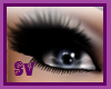 *Sv* Pretty Eyelashes ;)