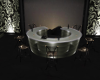 The Fern Bar