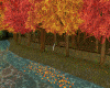 Autumn-Walking-Park