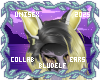 Stormy Ears 4