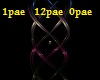 *Belura medusa 1pae 12