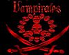NWO Vampirates Banner L