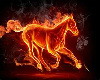 Fire Horse Picture