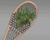 *Xmas Wall Racket