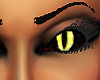 dragon eyes