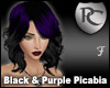 Black & Purple Picabia