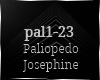 -Z- Paliopedo Josephine