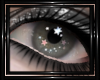 !T! Eyes | StarDust 3