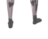 virgin socks