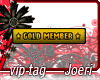 j| Gold Member Foxxys