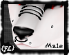 {FL}Piercing Silv-Jackal