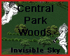 Central Park Woods