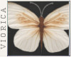 [V] Butterflies 1