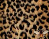 Leopard Print Backdrop