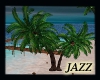 Jazzie-Coconut Palm Anim