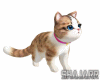 Mia Pet / Cat animated