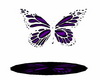Purple Butterfly Radio