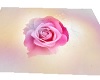 pink rose wed rug