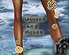 Golden Leg Roses