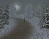 {LS} Snowy trails