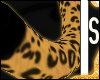 S| Leopard Tail