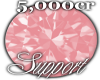 !ct! 5k support sticker