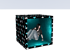 Hide me box