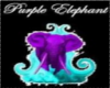 PurpleElephant pic