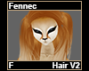 Fennec Hair F V2