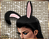 MK Easter Bunny Ears