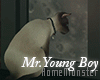 Mr.Young Boy Room DEC