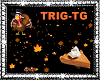 Thanksgiving(TG)
