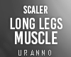 U. Long Legs Muscle
