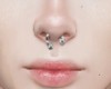 llAr  Septum Silver